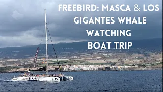 Freebird Catamaran: Tenerife