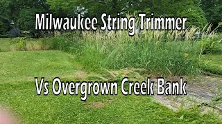 M18 String Trimmer Vs Overgrown Creek Bank