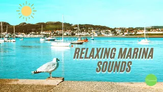 Relaxing Marina Sounds | Calm Boat & Seagulls | Ambient White Noise for Sleep/Relaxation/Studying