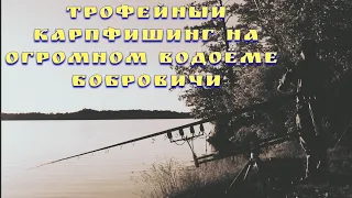 Трофейный карпфишинг на огромном водоёме Бобровичи, Беларусь.