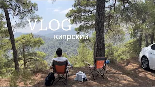VLOG | Выходные на Кипре в горах, получение номеров на машину, покупка книг на русском в Лимассоле