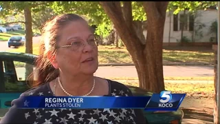 Caught on camera: Woman wearing bathrobe steals plants from homes