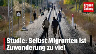 SORA-Studie in Wien: Selbst Migranten ist Zuwanderung zu viel | krone.tv NEWS