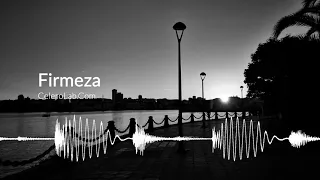 Firmeza :: Melodic House / Techno Mix (by CeleroLab.Com)