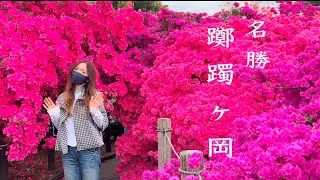 【4K映像】名勝　館林つつじが岡公園【100品種10000株のつつじが見頃に】