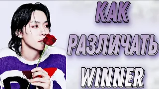 Учим группу Winner / Как различать Winner / Знакомство с Winner | Kpop Soul