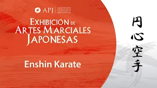 Conociendo las artes marciales japonesas: Enshin karate