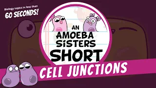 Cell Junctions - Amoeba Sisters #Shorts