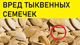 ВРЕД ТЫКВЕННЫХ СЕМЕЧЕК