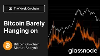 The Week On-chain: Bitcoin Barely Hanging On - Week 35, 2022 (Bitcoin Onchain Analysis)