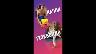 Качок VS Тхэквондо