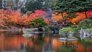Shukkei-en (縮景園) "shrunken scenery garden", Hiroshima.