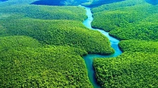 National geographic   Amazon Forest   BBC wildlife animal documentary