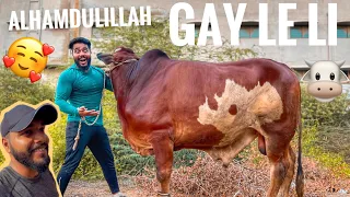 Alhamdulillah cow le li 🥰❤️ Funny Memes vlog 🤣 | syed fahad | the fun fin | syed Ibad rehman |