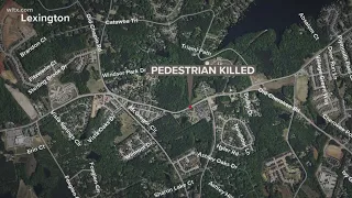 Pedestrian killed in Lexington county accident