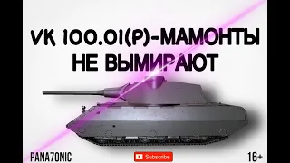 VK 100.01(P) - ТАНК В БАЛАНСЕ