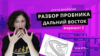 Разбор пробника для Дальнего Востока | Биология ЕГЭ 2024