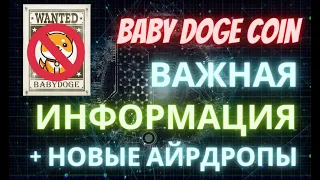 Baby Doge Coin airdrop ВАЖНО!! | заработок в интернете | 2 новых бесплатных проверенных айрдропа