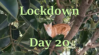 Day 20 Lockdown in Spain - Daily Vlog