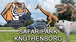 Safaripark Knuthenborg - Der beste Zoo Europas  - Zoowelt Dänemark