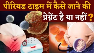 पीरियड टाइम में कैसे जाने की प्रेग्नेंट है या नहीं || EARLY PREGNANCY SYMPTOMS - इसे जरूर देखें ।