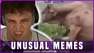 VENI reagiert auf UNUSUAL MEMES COMPILATION