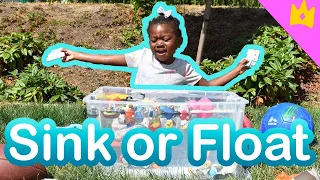 Sink or Float for Kids Science Experiments w/ Ellie