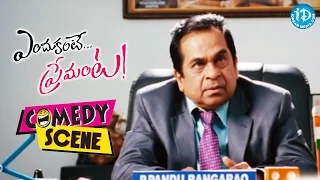 Endukante Premante -  Brahmanandam, Ram Funny Comedy Scene