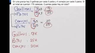 En una granja hay 3 gallinas por cada 5 patos y 4 conejos por cada 3 patos.