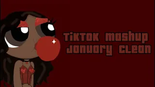 TIKTOK MASHUP JANUARY 2024 (CLEAN)