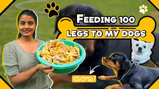 |Feeding My Dogs 🐶| 100 ಕಾಲುಗಳು 😦 |ಗುಂಡ & ಚಂಪು Full Batting|