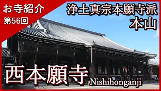 【お寺紹介56】西本願寺・京都 －浄土真宗本願寺派 本山－ 12分でお寺を案内します。