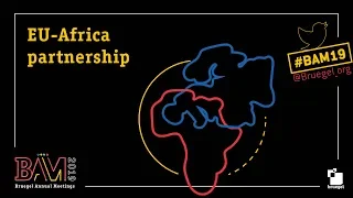 EU Africa partnership - Bruegel annual meetings 2019