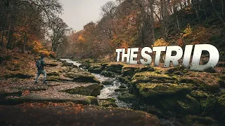 The MOST DANGEROUS RIVER on Earth - We found The Strid, Yorkshire UK