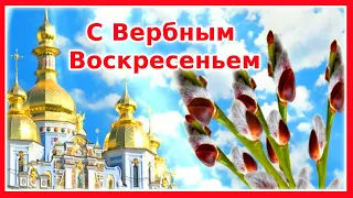 С Вербным Воскресеньем! Вербы веточка пусть в доме вас от всяких бед хранит.