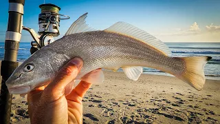 Catching Dinner Right on the Beach - Surf Fishing for Whiting and Pompano