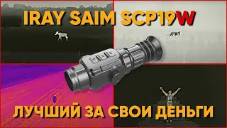 Тепловизионный прицел IRAY SAIM SCP19W - обзор, возможности, тесты на дистанциях