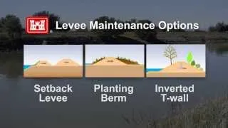 Levee Safety in California's Central Valley: Levee Vegetation