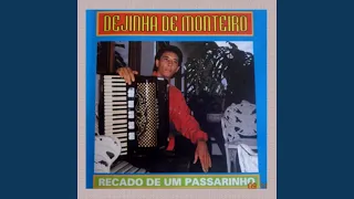 Recado de um passarinho - DEJINHA DE MONTEIRO