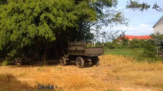 [Relaxing Music] Hương lúa (稻香) - Châu Kiệt Luân (周杰伦) [Vietsub]