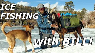 NEW "5-WAY Cooker" Catch and Cook! Winter Camping with Bill the Goat, Juni, & Puppy Maggie-May.