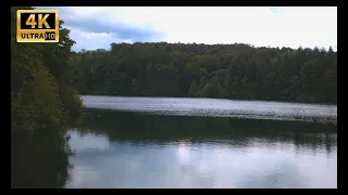 4K video. Sounds of Nature. Birds Singing at a Beautiful Lake. Relaxation Healthy Sleep.