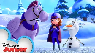 Olaf and Miss Nettle | Sofia the First | @disneyjunior