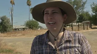 CDFA SWEEP Program at Tchieng Family Farm