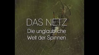 DAS NETZ - DIE UNGLAUBLICHE WELT DER SPINNEN