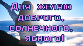 ЖЕЛАЮ ПРЕКРАСНОГО ДНЯ🥰Чудесного настроения🎶Очень красивая музыкальная открытка