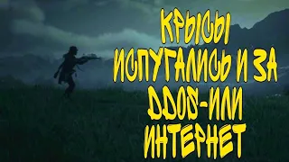 ORTHROS В RDO / PvP / КРЫСЫ ИСПУГАЛИСЬ И ЗА DDoS-или ИНТЕРНЕТ / PS4 / PS5