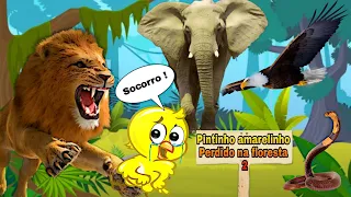 Pintinho amarelinho perdido na floresta #02