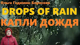Drops Of Rain & Капли дождя - спонтанное пение - spontaneous singing