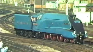 Mallard on the Main Line at Derby - 1986